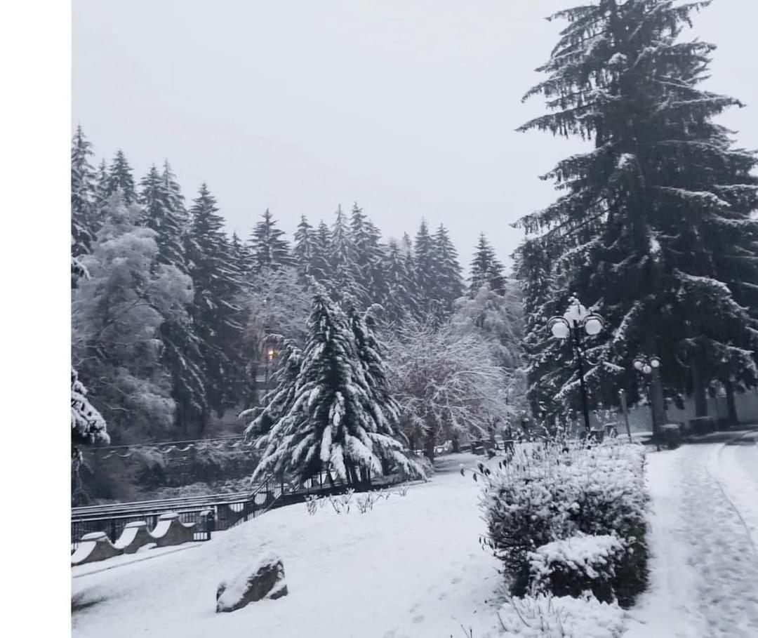Vila Nicoleta Băile Olăneşti Kültér fotó