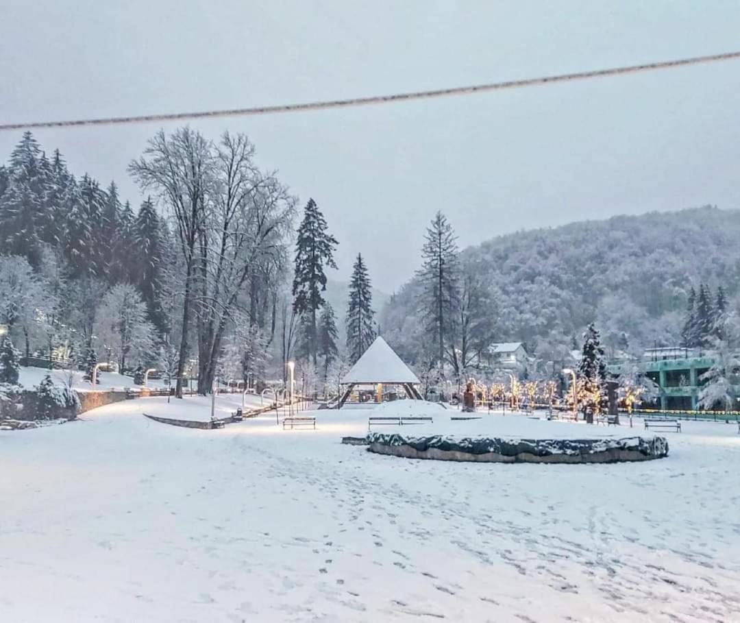Vila Nicoleta Băile Olăneşti Kültér fotó