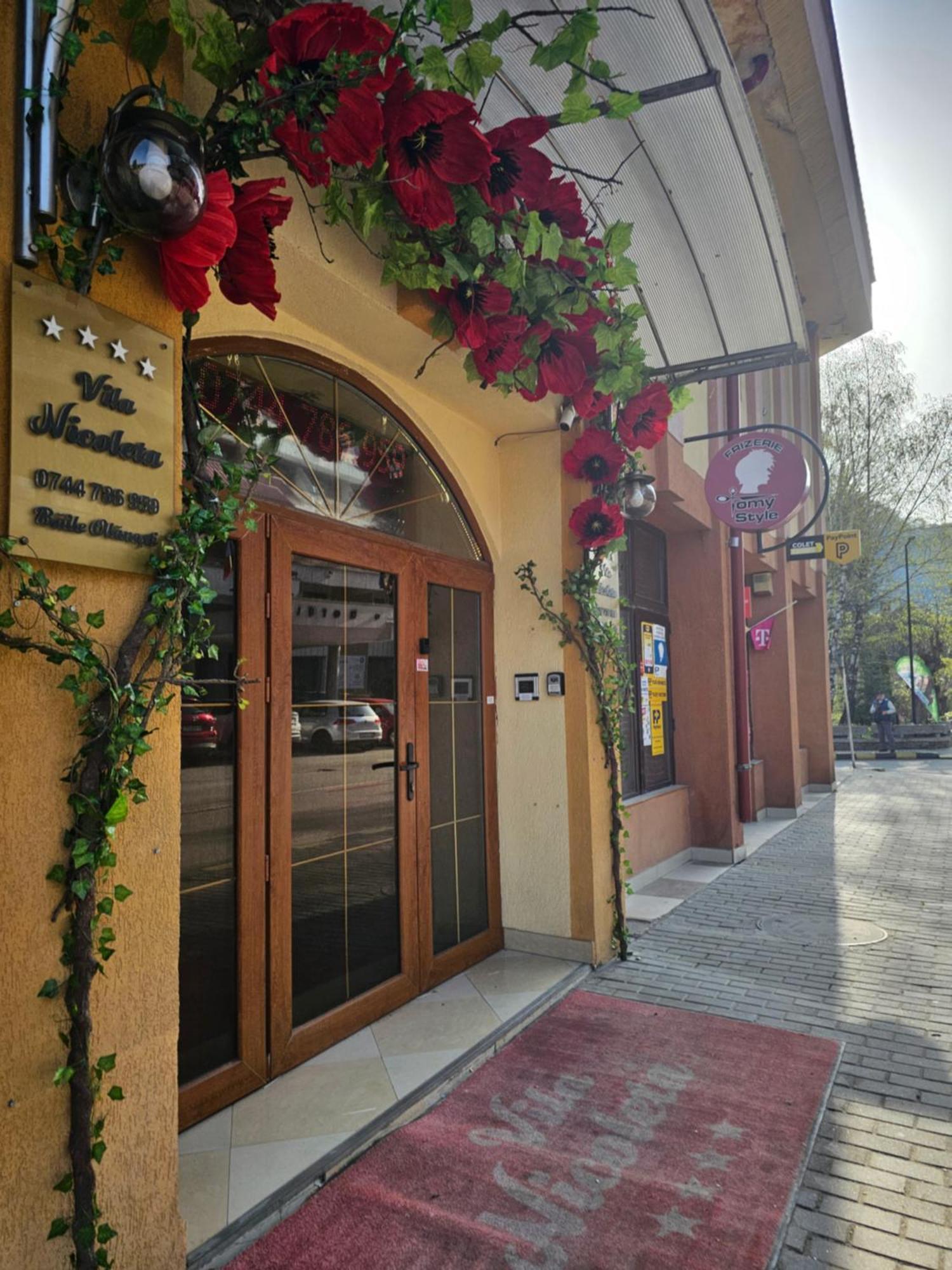 Vila Nicoleta Băile Olăneşti Kültér fotó
